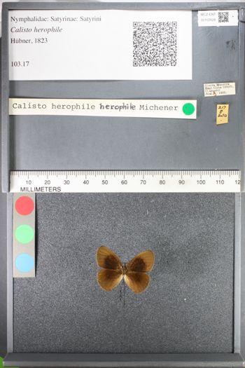 Media type: image;   Entomology 102628